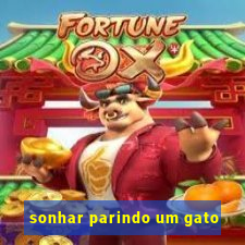 sonhar parindo um gato