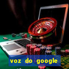 voz do google tradutor homem