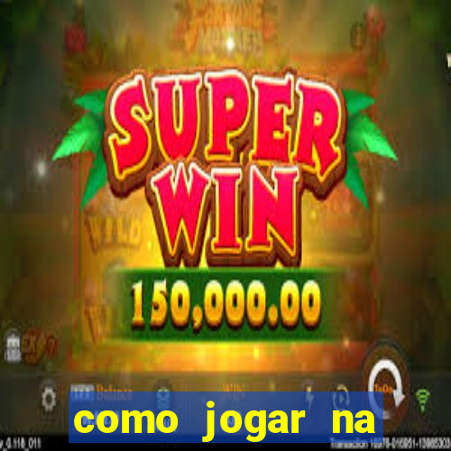 como jogar na lotinha do jogo do bicho