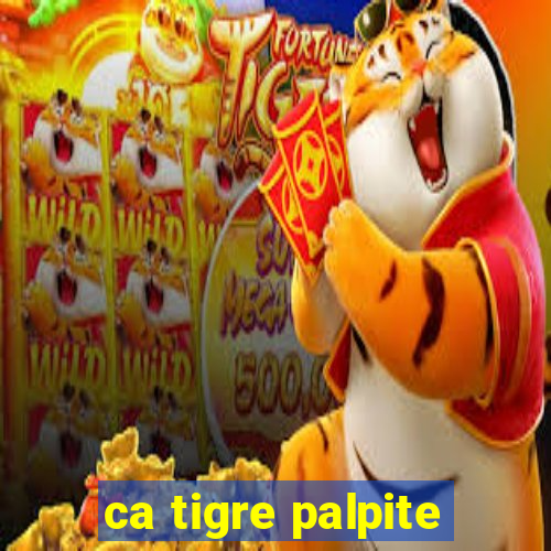 ca tigre palpite