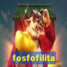 fosfofilita