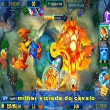 milhar viciada do cavalo