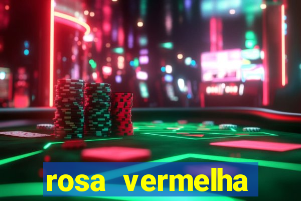 rosa vermelha (letra e cifra)