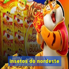 insetos do nordeste