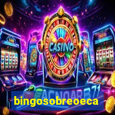 bingosobreoeca