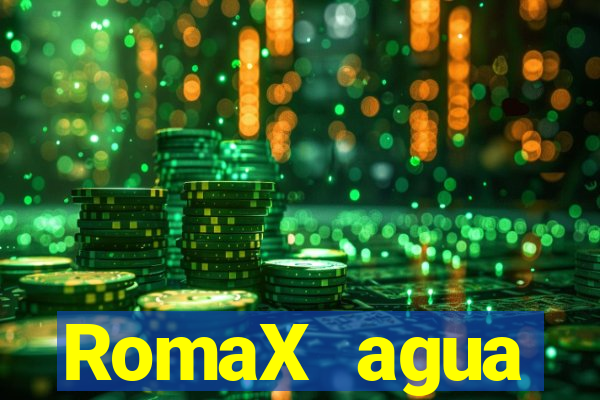 RomaX agua sanitaria fispq agua sanitaria romax