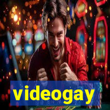 videogay