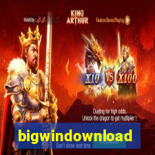 bigwindownload