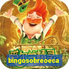 bingosobreoeca