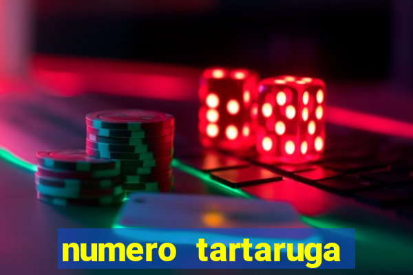 numero tartaruga jogo do bicho