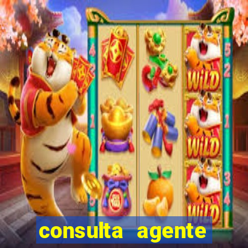 consulta agente autuador sp