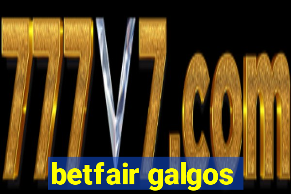 betfair galgos