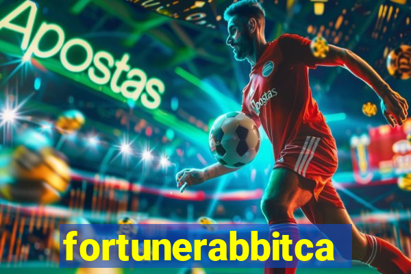 fortunerabbitcasino.online