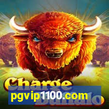 pgvip1100.com