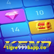 tigre999bapp.com