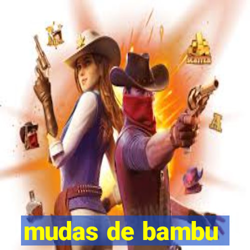 mudas de bambu