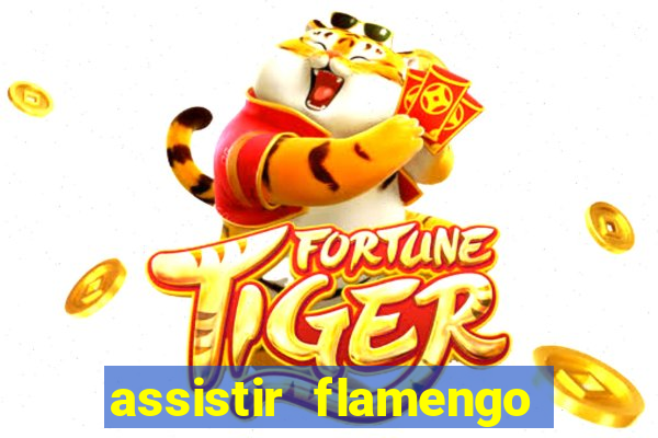 assistir flamengo play hd