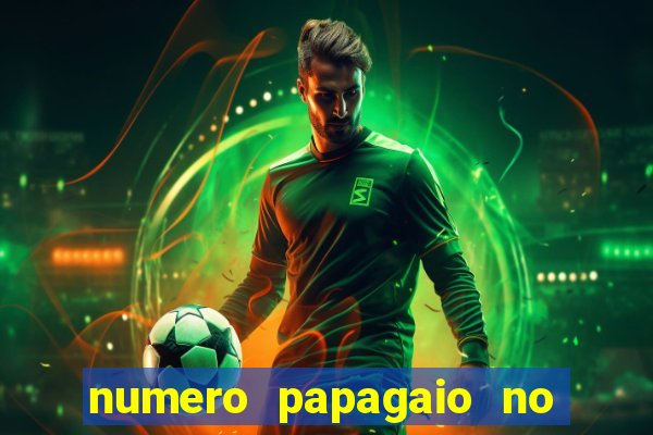 numero papagaio no jogo do bicho