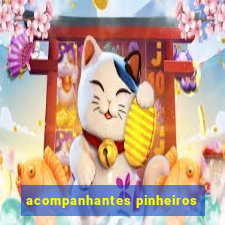 acompanhantes pinheiros