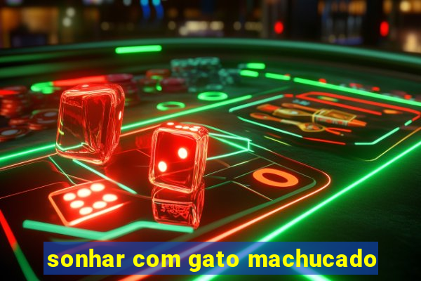 sonhar com gato machucado