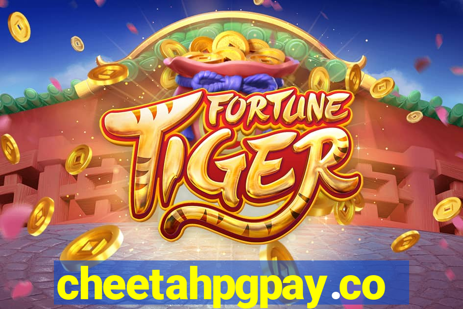 cheetahpgpay.com