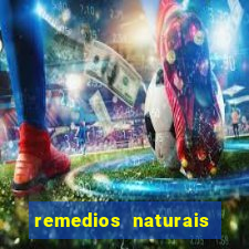 remedios naturais para diabetes