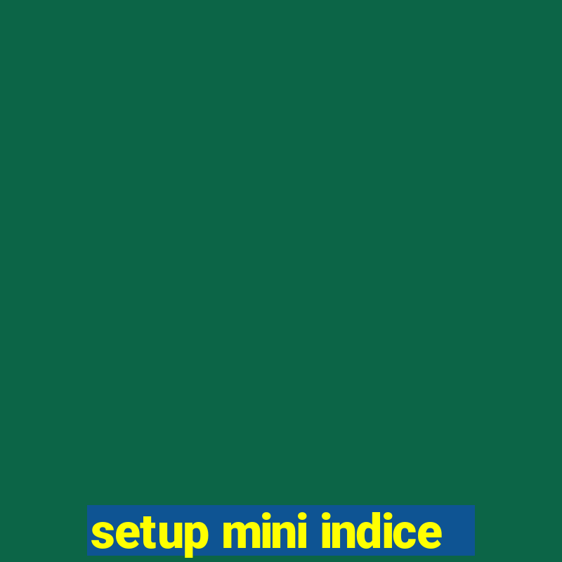 setup mini indice