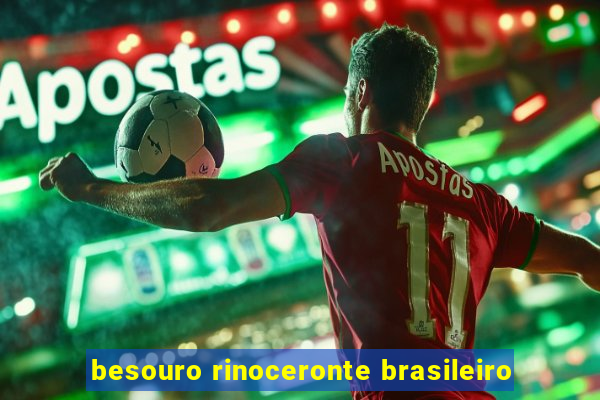 besouro rinoceronte brasileiro