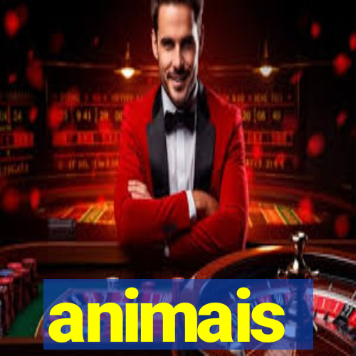 animais-pg.com