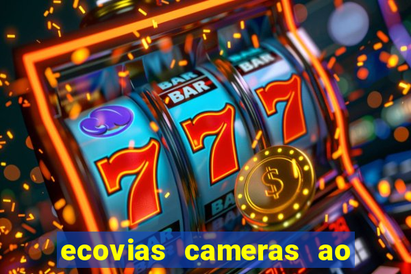 ecovias cameras ao vivo santos