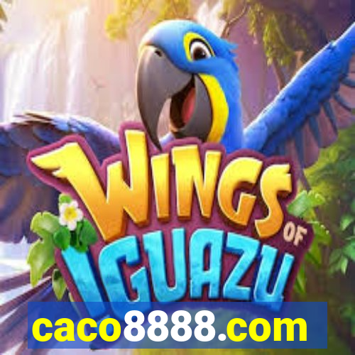 caco8888.com