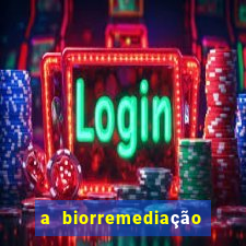 a biorremediação é uma tecnologia sustentável?