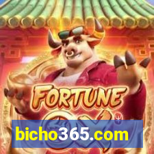 bicho365.com