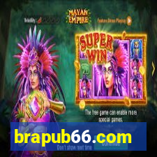 brapub66.com