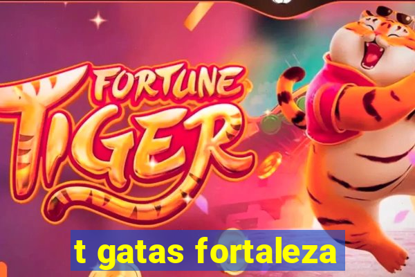 t gatas fortaleza