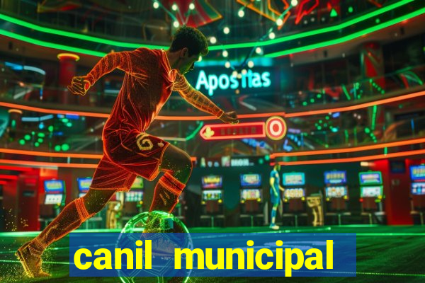 canil municipal porto alegre