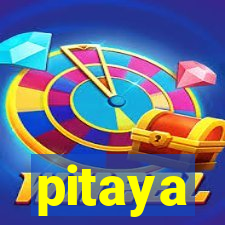 pitaya-bet