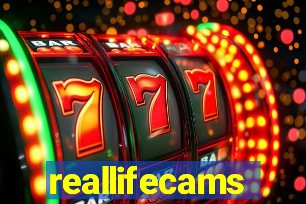 reallifecams