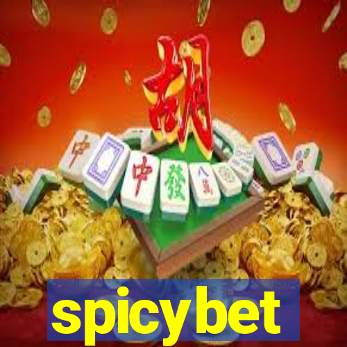 spicybet-3.com