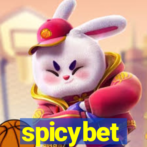 spicybet-3.com