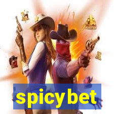 spicybet-5.com