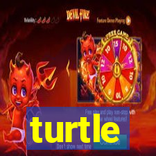 turtle-ty.com