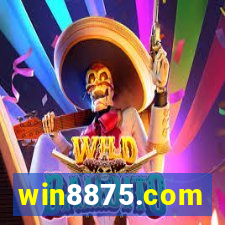 win8875.com